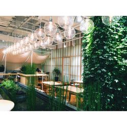 -悦诗风吟innisfree