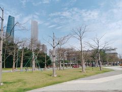 -二沙岛艺术公园
