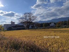 -塔川景区
