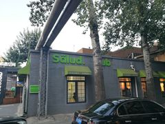 -Salud撒露欧洲冻酸奶(798艺术区店)
