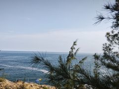 -广东惠东海龟国家级自然保护区