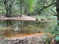-海南热带雨林国家公园吊罗山景区