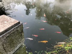 -杭州西湖柳莺里酒店·闻莺厅