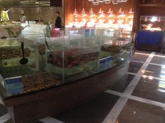 -小天鹅戴斯酒店鲸鲨百汇创作料理
