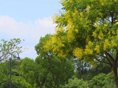 -玄武湖景区-情侣园游乐场