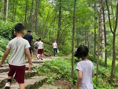 -五营国家森林公园