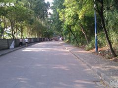 -火炉山森林公园