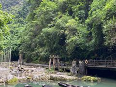 -三峡人家风景区