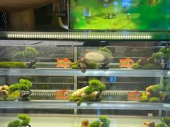 -一朵菌·野生菌探索家火锅(南亚店)