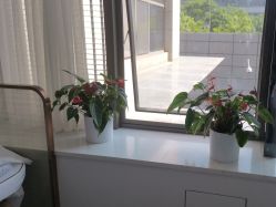 点击看大图 -悟空祛痘·诺奖技术专业店