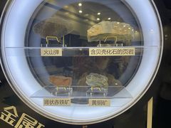 -上海儿童博物馆