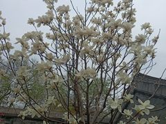 -张学良旧居陈列馆