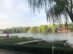 -百脉泉景区