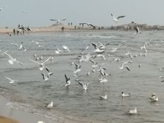 -老虎石海上公园