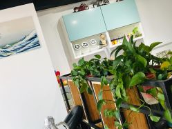 -英刺青 纹身 洗纹身