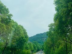 -柳石居柳州螺蛳粉(万达店)