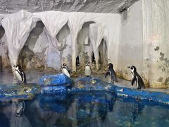 -太平洋海底世界