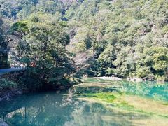 -龙湾潭国家森林公园