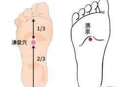-裕和堂中医推拿艾灸(太古汇臻品店)