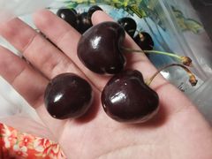 -鲜力达果品批发直销(青山店)