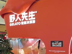 -野人先生现做冰淇淋(北京王府井东方新天地店)