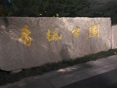 -青枫公园