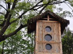 -南北湖风景区