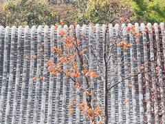 -天津盘山风景名胜区
