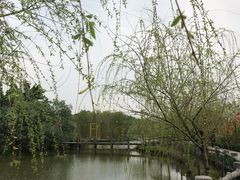 -天适樱花悠乐园