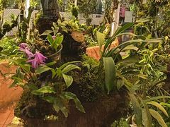 -国家植物园南园