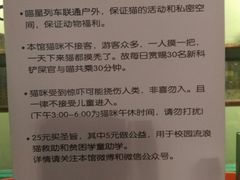 -猫咪博物馆(顶澳仔猫街店)