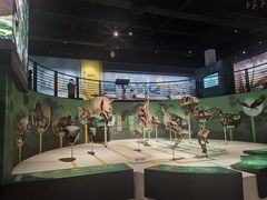 -国家自然博物馆