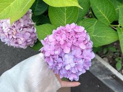 -华凌山庄·隐湖栖