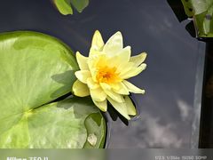 -白鹭湾湿地公园