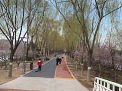 -大兴滨河森林公园