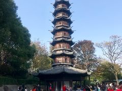 -上海佘山国家森林公园西佘山园