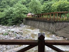 -青峰峡国家森林公园