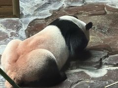 -济南野生动物世界