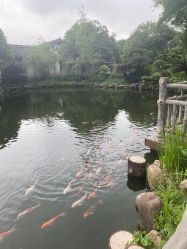 -长沙小顽国景区