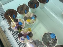 -嗒令甜品·主题融合料理餐厅(首座时代店)