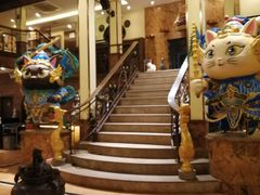 -more than meow吴止猫主题餐厅(承德 中船汇店)