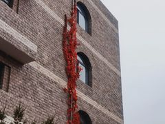 -辽宁大学(崇山校区)