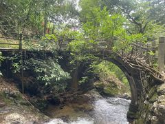 -东天目山风景区