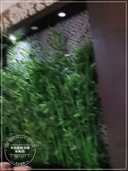 -木北造型