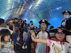 -海棠湾洲际-涛·海底餐厅·美人鱼·自助餐·海底隧道