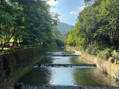 -广州白江湖森林公园