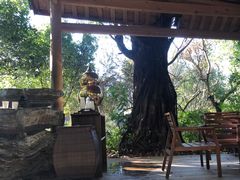 -和顺柏联温泉