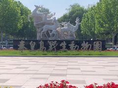 -秦皇岛野生动物园