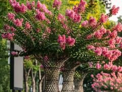 -杭州城北体育公园