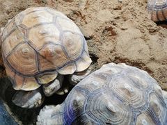 -太奥幻太奇海洋馆